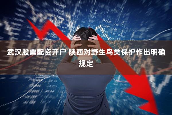 武汉股票配资开户 陕西对野生鸟类保护作出明确规定