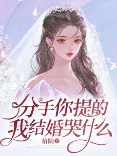 (全文在线阅读)分手你提的，我结婚哭什么 主角赵宸苏若薇