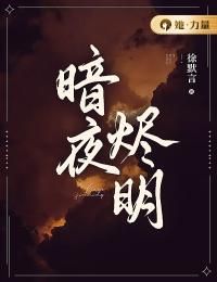 暗夜烬明主角陆安若季瑄小说完整版全文在线阅读